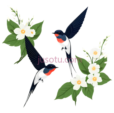 燕子,花朵, PNG