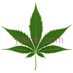 大麻叶, PNG