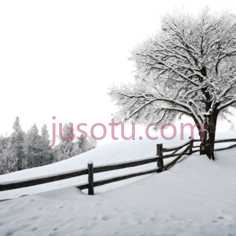 雪景,自然风景,白色PNG