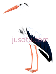 白鹭, PNG