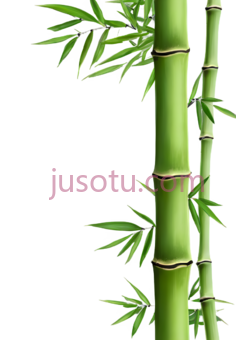 竹子,插画,绿色PNG