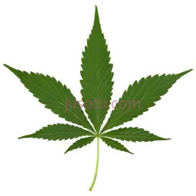大麻叶, PNG