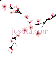 樱花,插画,白色, PNG
