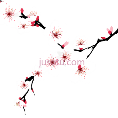樱花,插画,白色, PNG