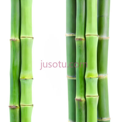 绿色竹子, PNG