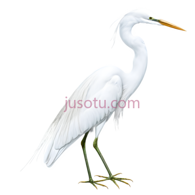 白鹭, PNG