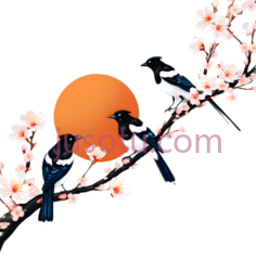 喜鹊,插画,黑色, 白色, 蓝色PNG