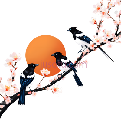 喜鹊,插画,黑色, 白色, 蓝色, PNG