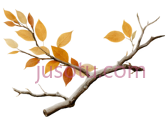 秋枝,秋季PNG