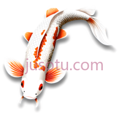 锦鲤PNG
