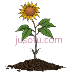 向日葵,卡通,黄色PNG