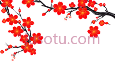 梅花,插画,红色,白色PNG