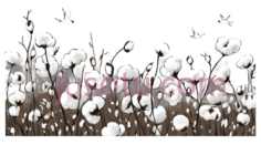 蒲公英,插画,白色PNG