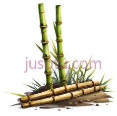 竹子,插画,绿色PNG