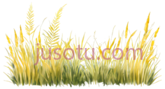 麦穗,插画,黄色PNG