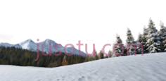 雪景,自然风光,白色,绿色PNG