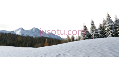雪景,自然风光,白色,绿色, PNG
