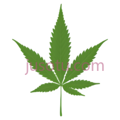 大麻叶PNG