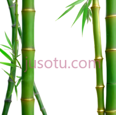 绿色,竹子PNG