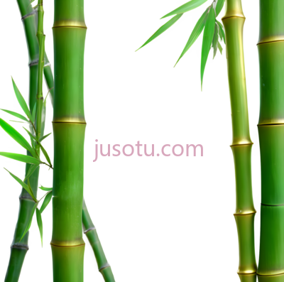 绿色,竹子, PNG